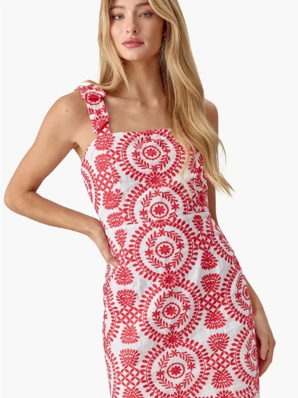 Adelyn Rae Carrie Embroidered Minidress